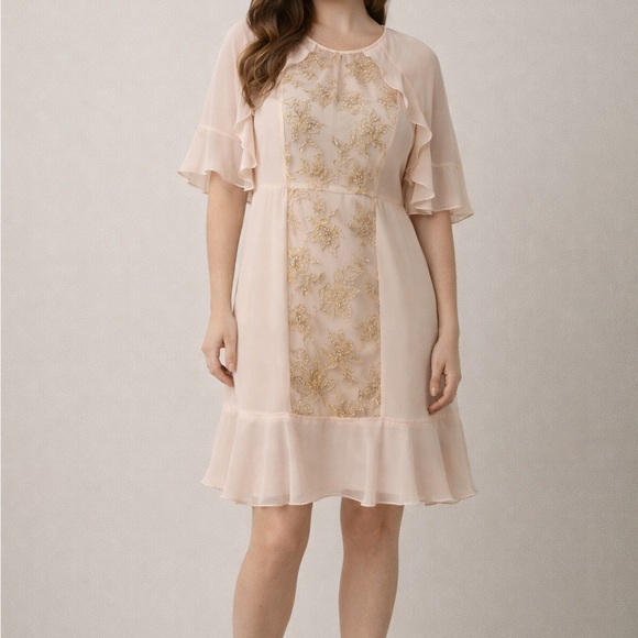 Dresses & Skirts - BCBG Max Azria Nude & Gold Embroidered Chiffon Dress | Size 2